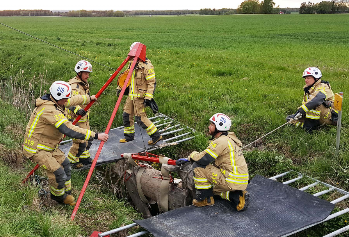 Brandmän som övar djurlivräddning på en atrapp, utomhus i ett dike med särskild utrustning.